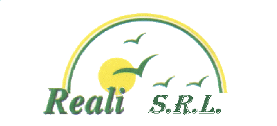 Reali 400x400